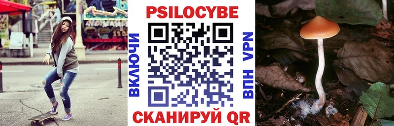 где продают   mega как зайти  Псилоцибиновые грибы ЛСД  Горячий Ключ 