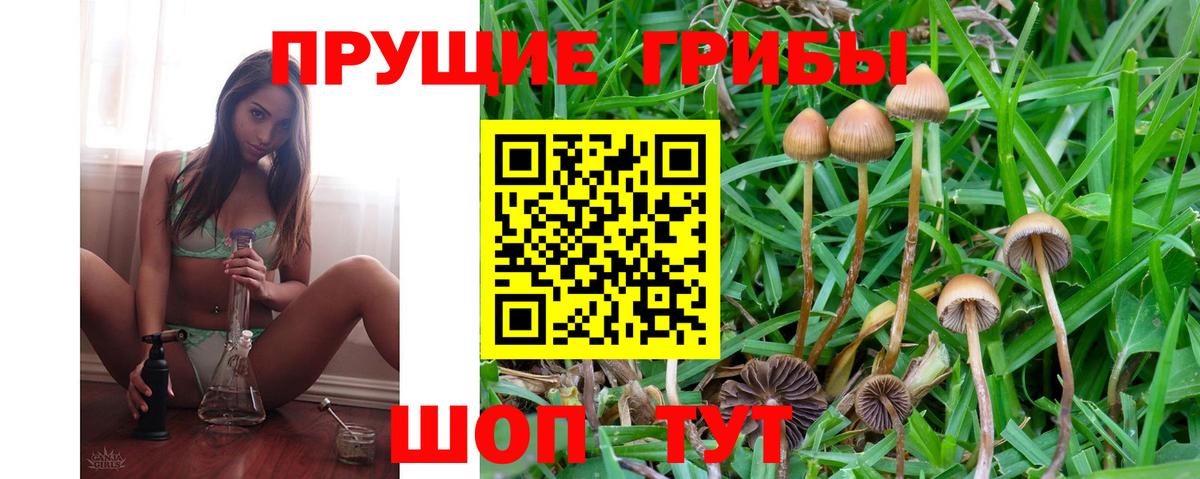 Псилоцибиновые грибы ЛСД Горячий Ключ