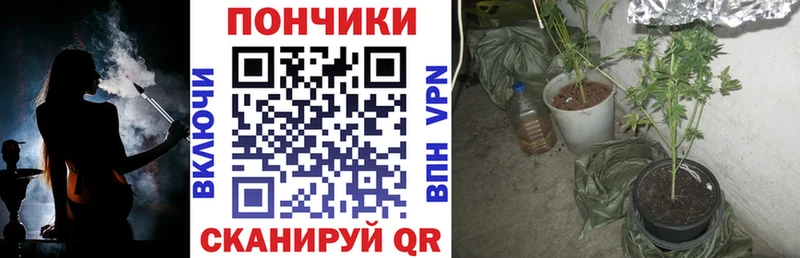 наркотики  Горячий Ключ  Конопля сатива 